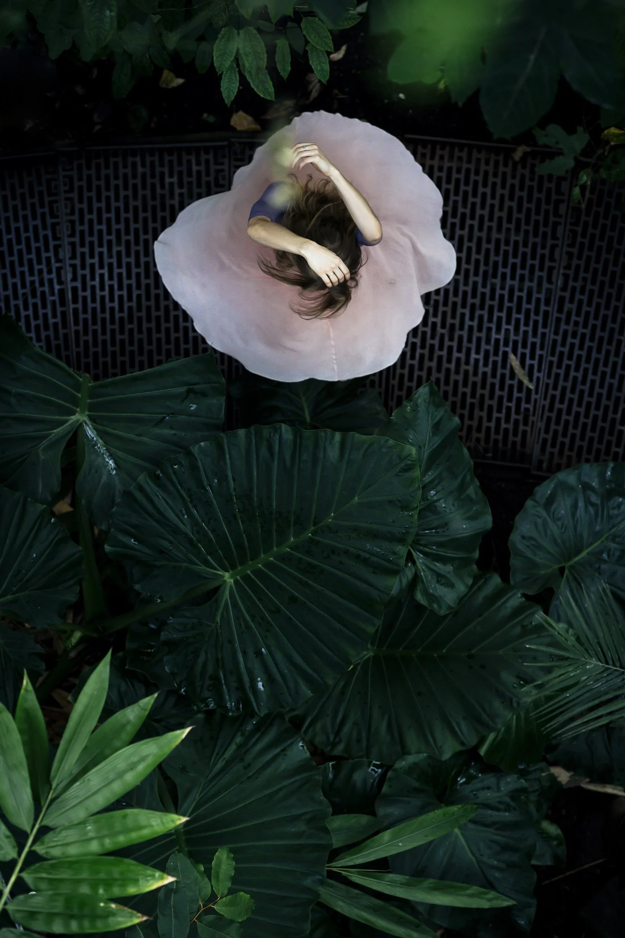 Eine Person liegt auf dem Rücken auf einer rosa Decke, umgeben von großen grünen Blättern.