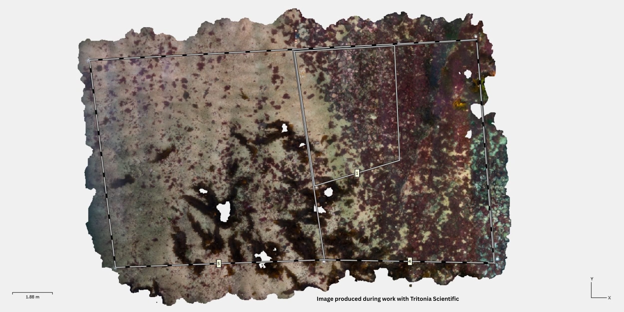 Underwater Photogrammetry & 3D Habitat Modelling