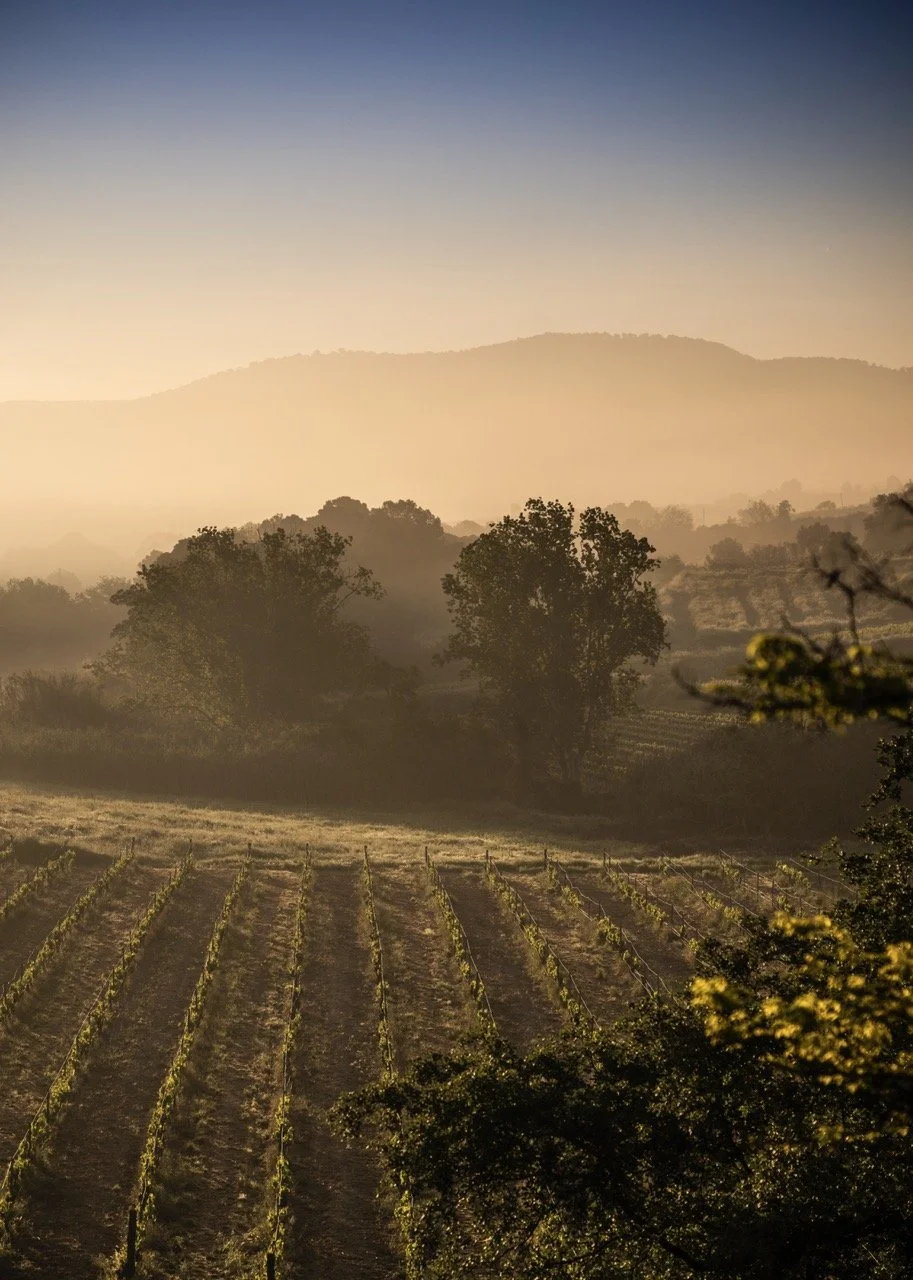 boutique stay in Penedès vineyard countryside near Barcelona