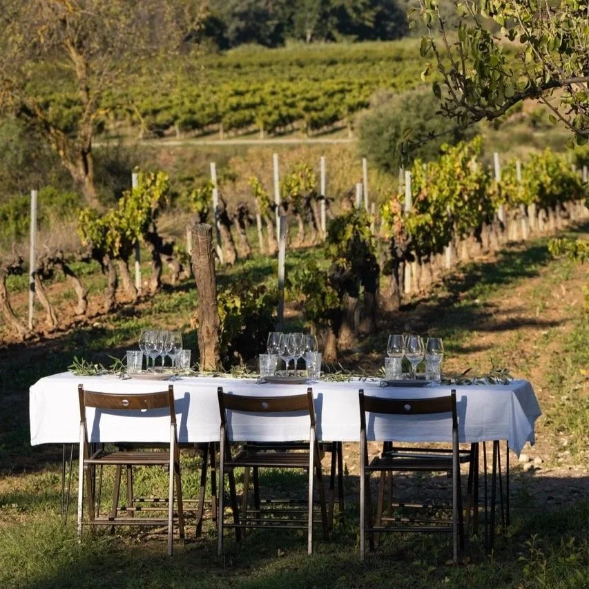 private terrace overlooking vineyards Penedès boutique stay