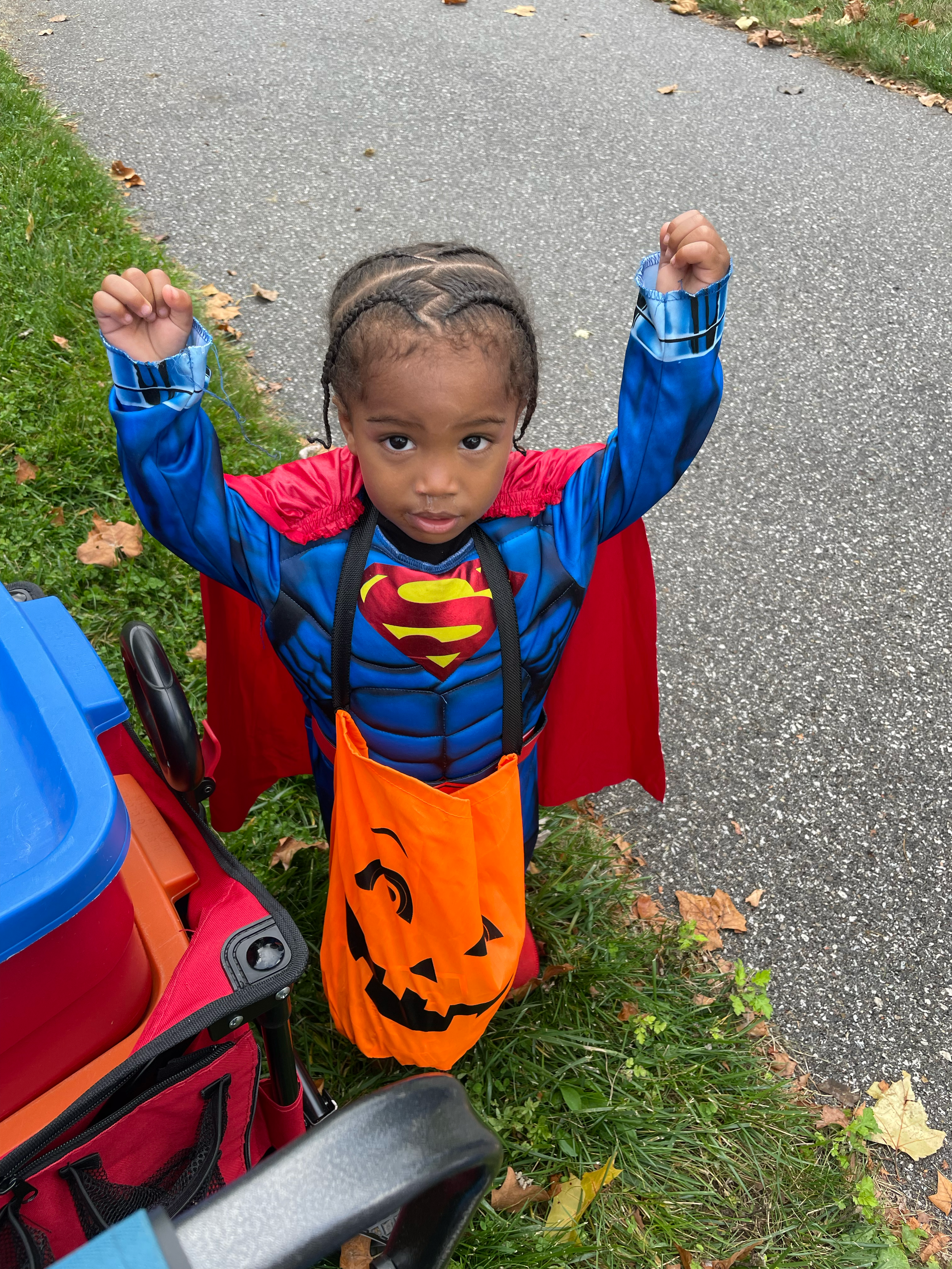 SupermanNatureCatTrail (1).png