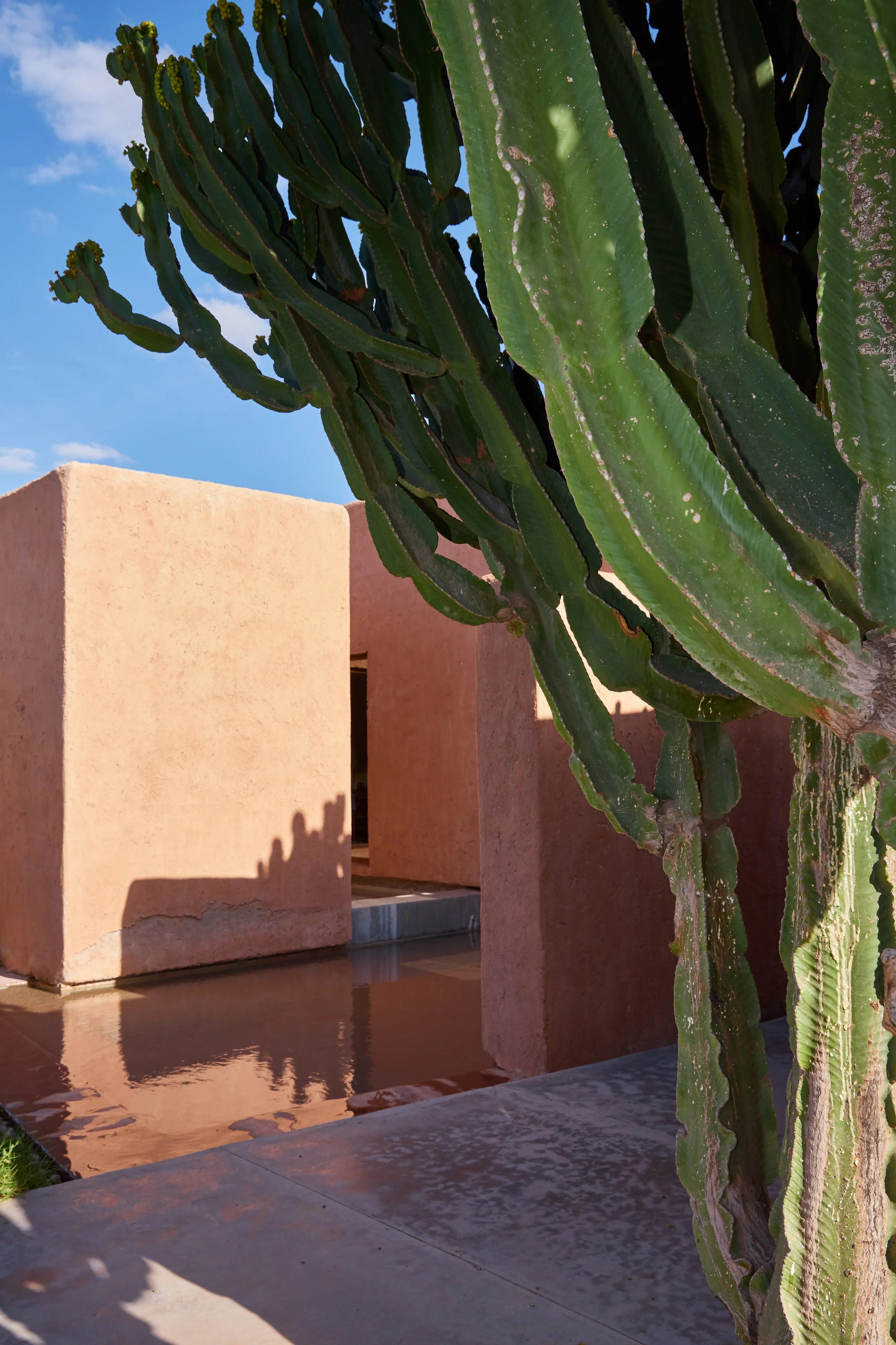 Campaign Morocco SS22 6.jpg