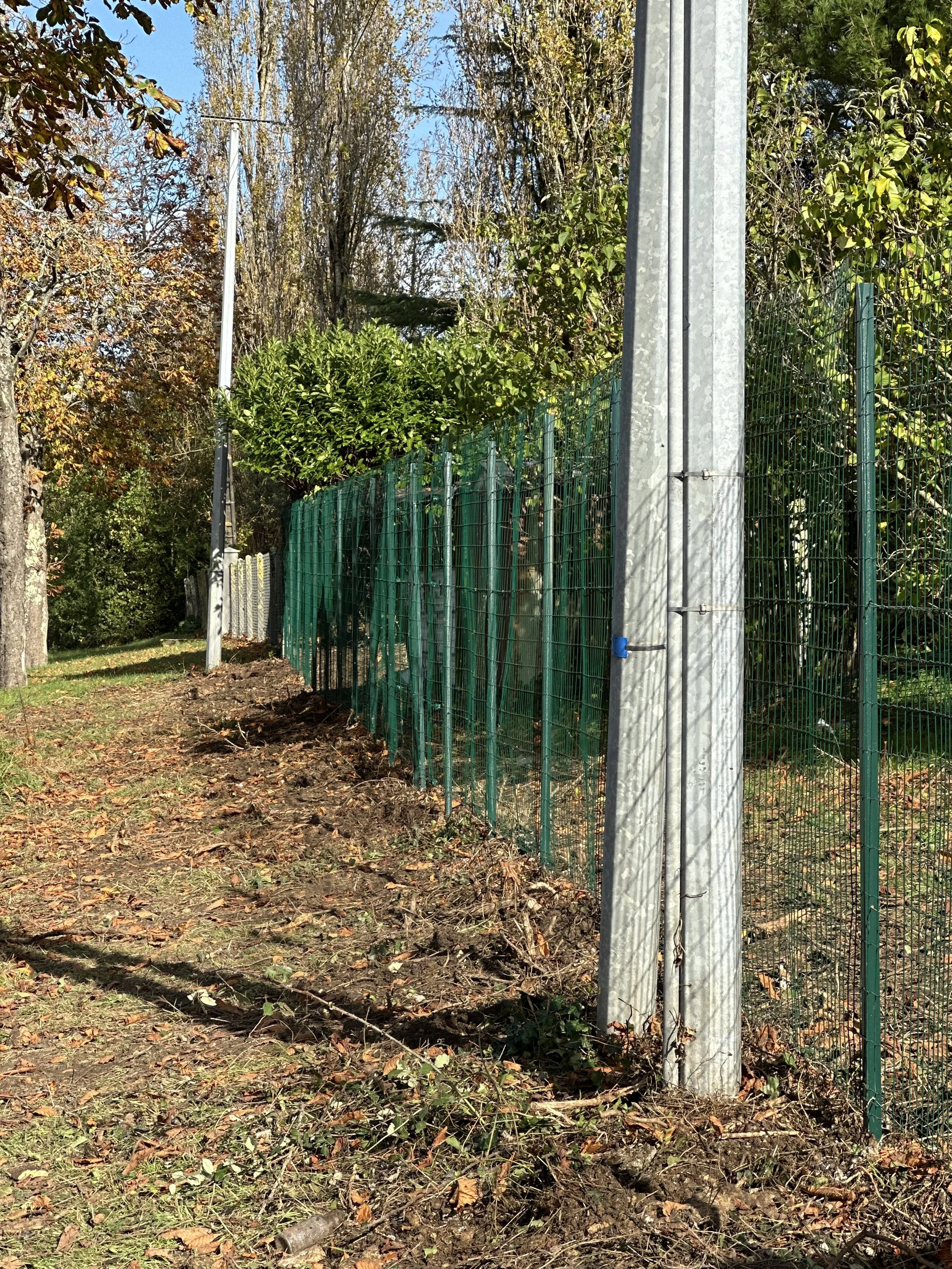 Une clôture métallique verte longeant un chemin bordé d'arbres, sous un ciel ensoleillé.