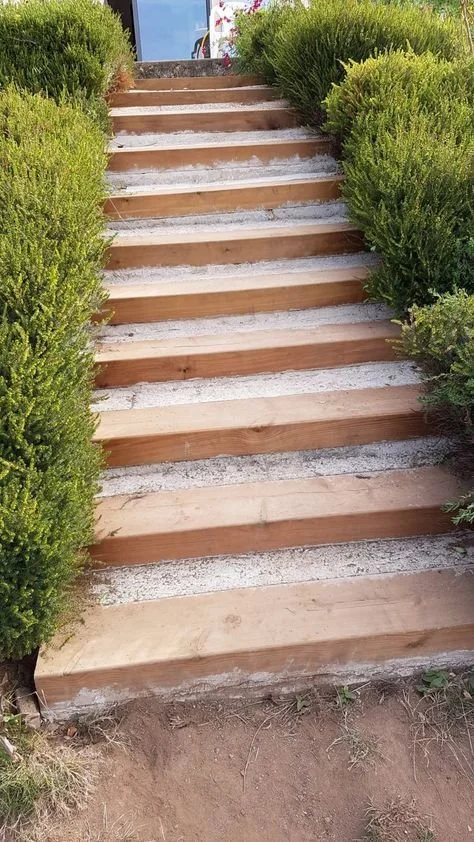 Escalier en bois entouré de buissons verts, menant à une porte en arrière-plan.