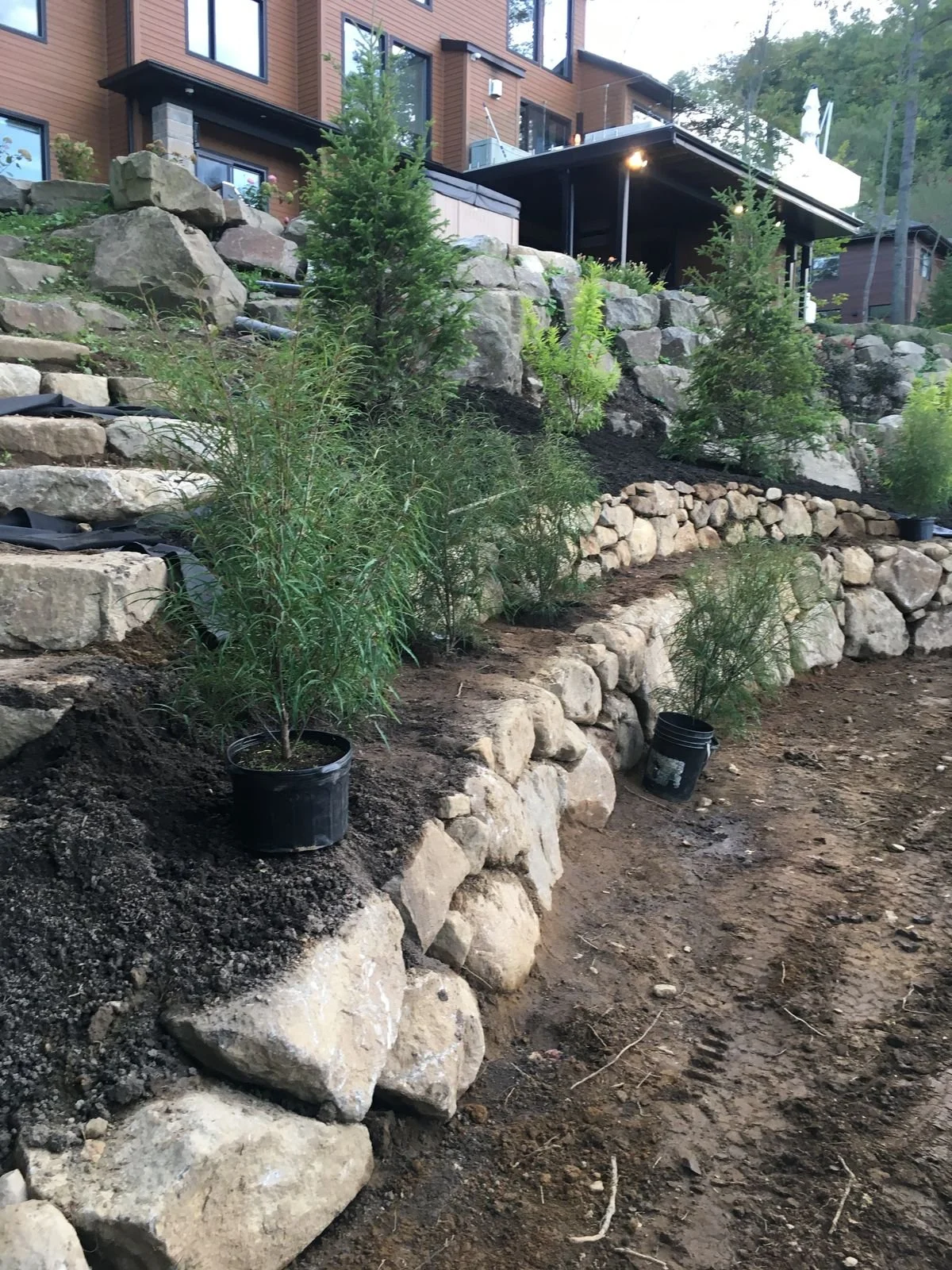 Plantation en cours avec des jeunes conifères dans une zone en terrasses stabilisée par des rochers, devant une maison en bois sur une colline.