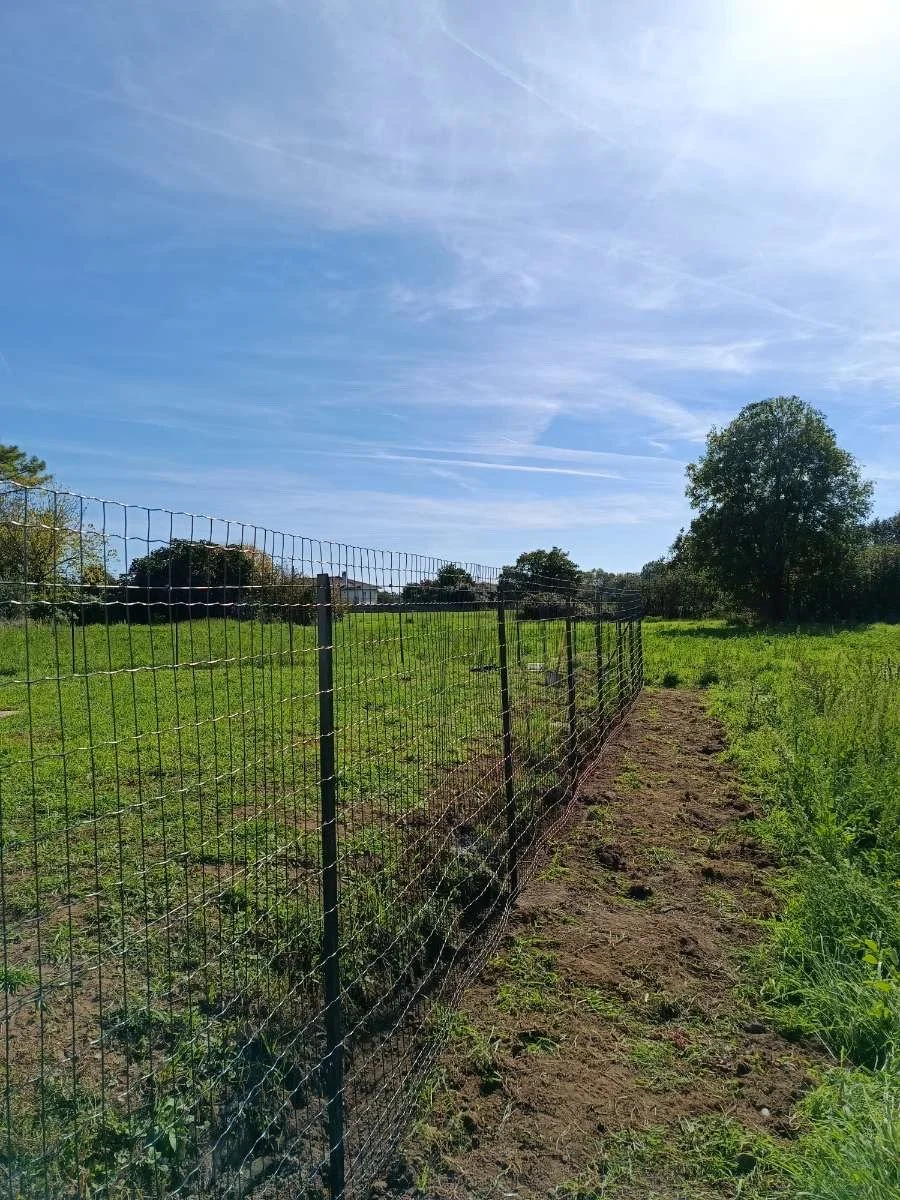 Une clôture en fil métallique divise un champ vert sous un ciel bleu avec quelques nuages. À l'horizon, des arbres et des maisons sont visibles.
