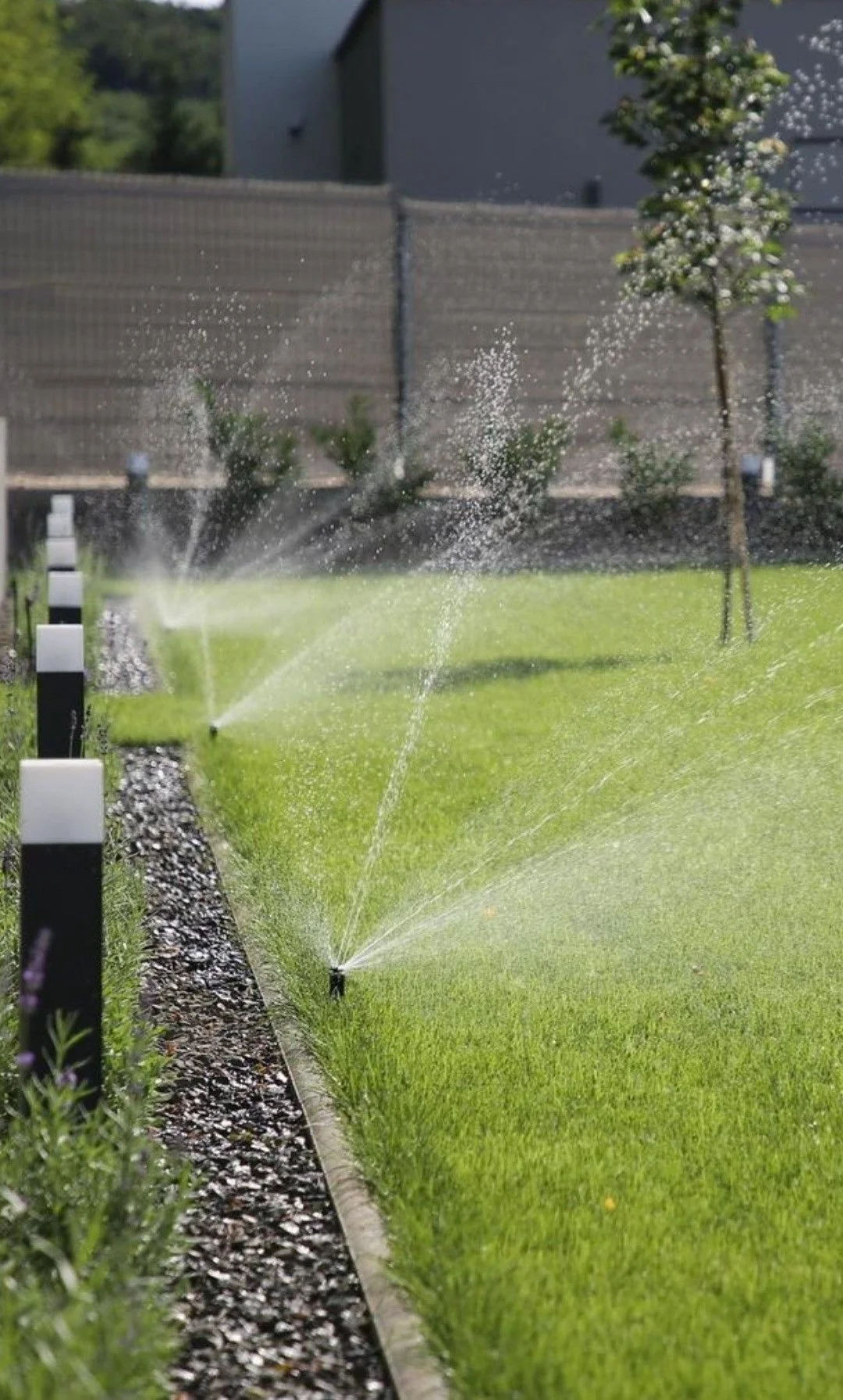 Arrosage automatique lawn sprinklers en fonctionnement dans un jardin vert avec des petits arbres et un mur en arrière-plan.