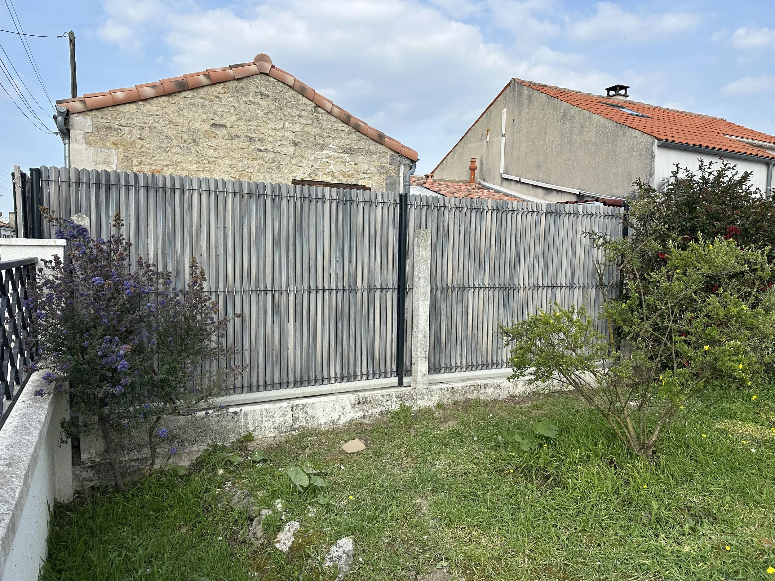IMG_6867.jpeg