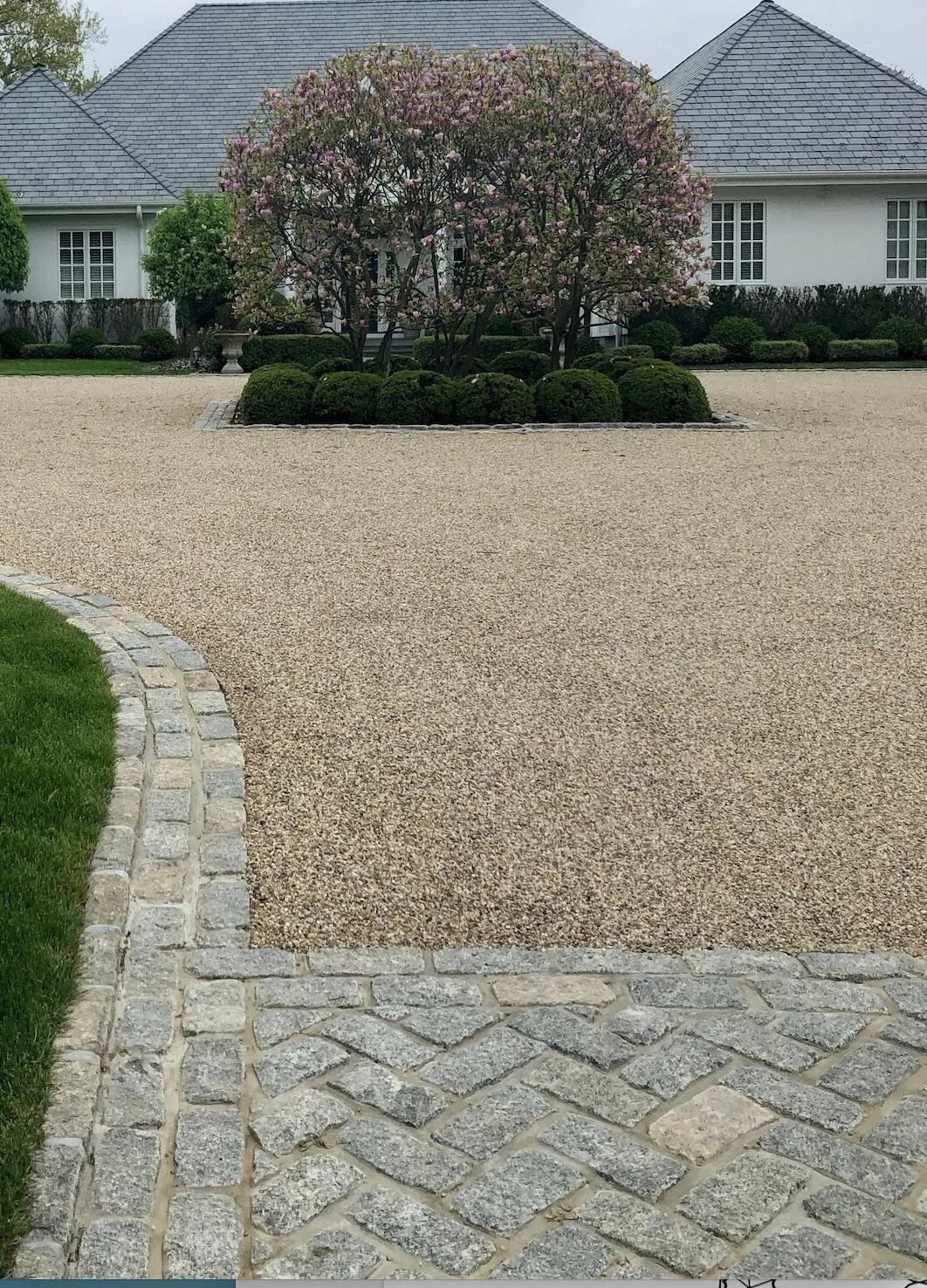 Un jardin paysager avec un arbre en fleurs roses, entouré de buissons verts et des bâtiments résidentiels en arrière-plan.