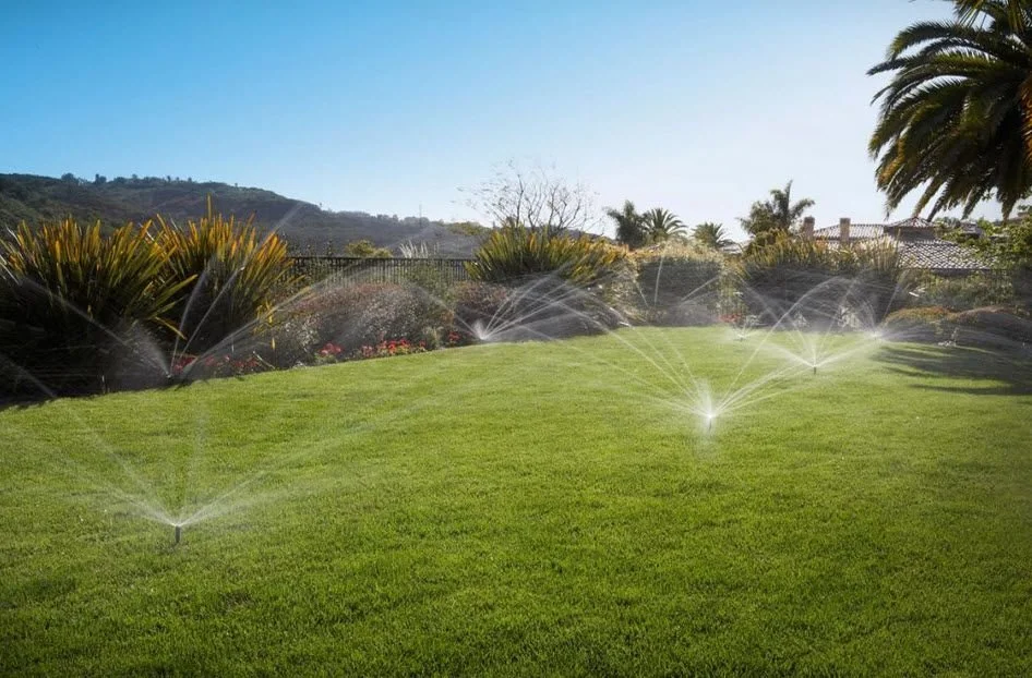 Un jardin bien entretenu avec une pelouse verte, des arroseurs automatiques en fonctionnement, des plantes ornementales et des palmiers en arrière-plan, sous un ciel ensoleillé.