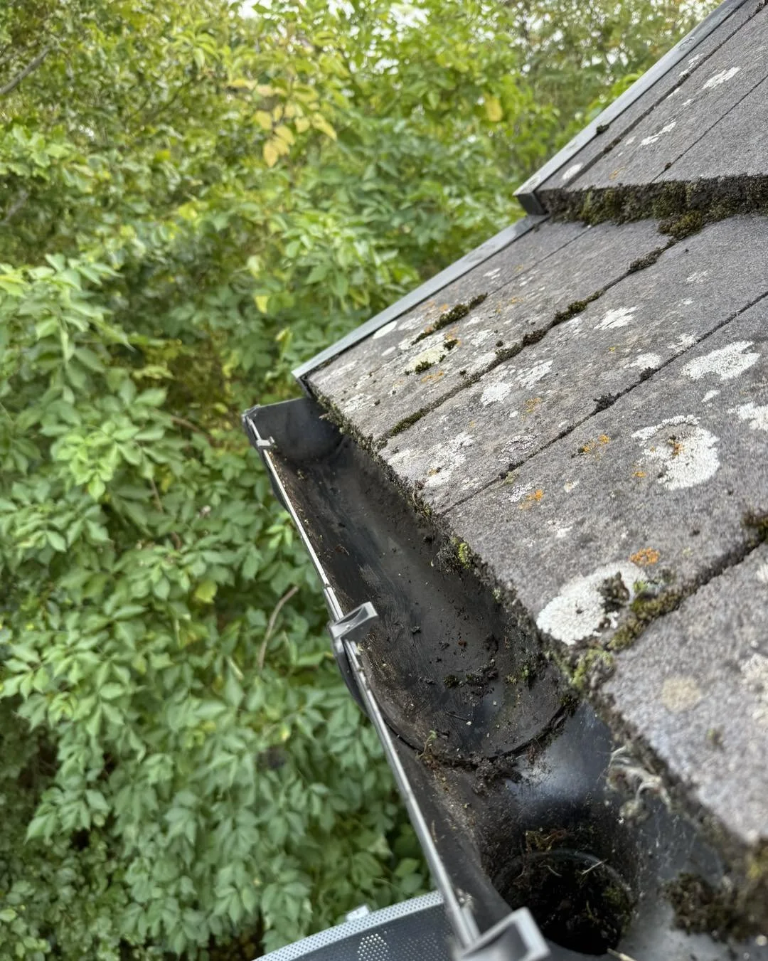 Close-up of a roof edge with weathered shingles and missing or damaged gutter, with green foliage in the background.