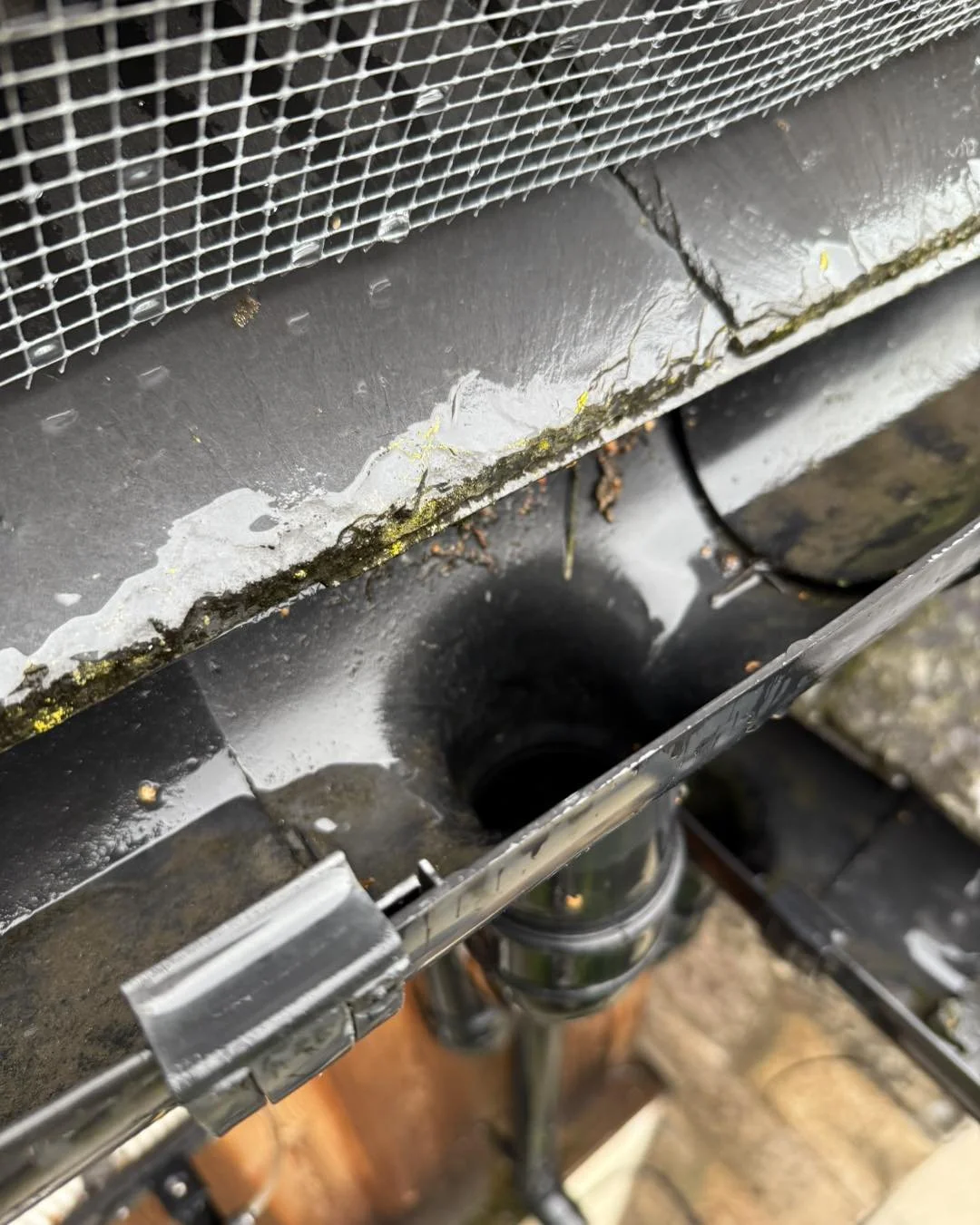 Close-up of a metal surface with dirt, moss, water, and a wire mesh grid on top, possibly part of an outdoor structure or appliance.