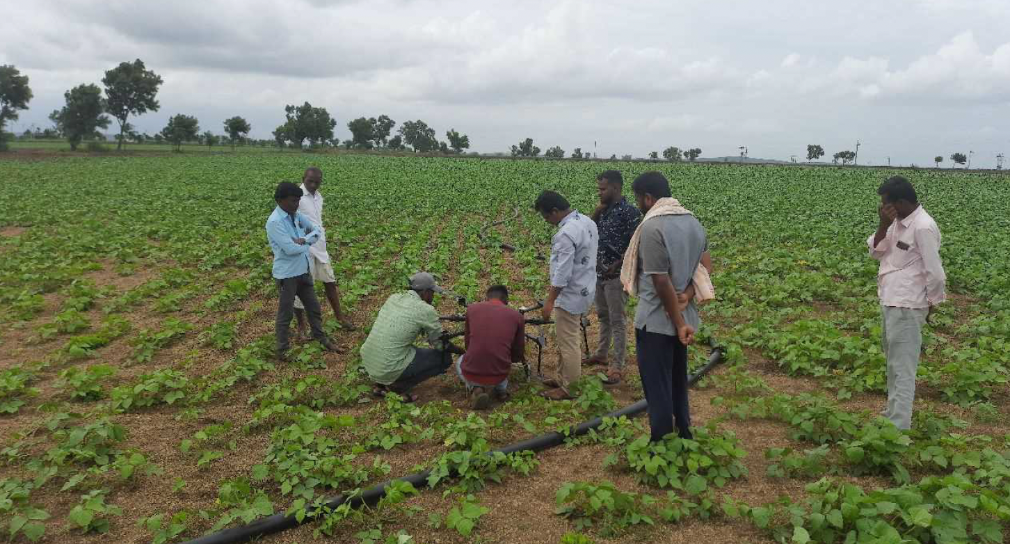 Group of people inspecting crops in a large green field under a cloudy sky.