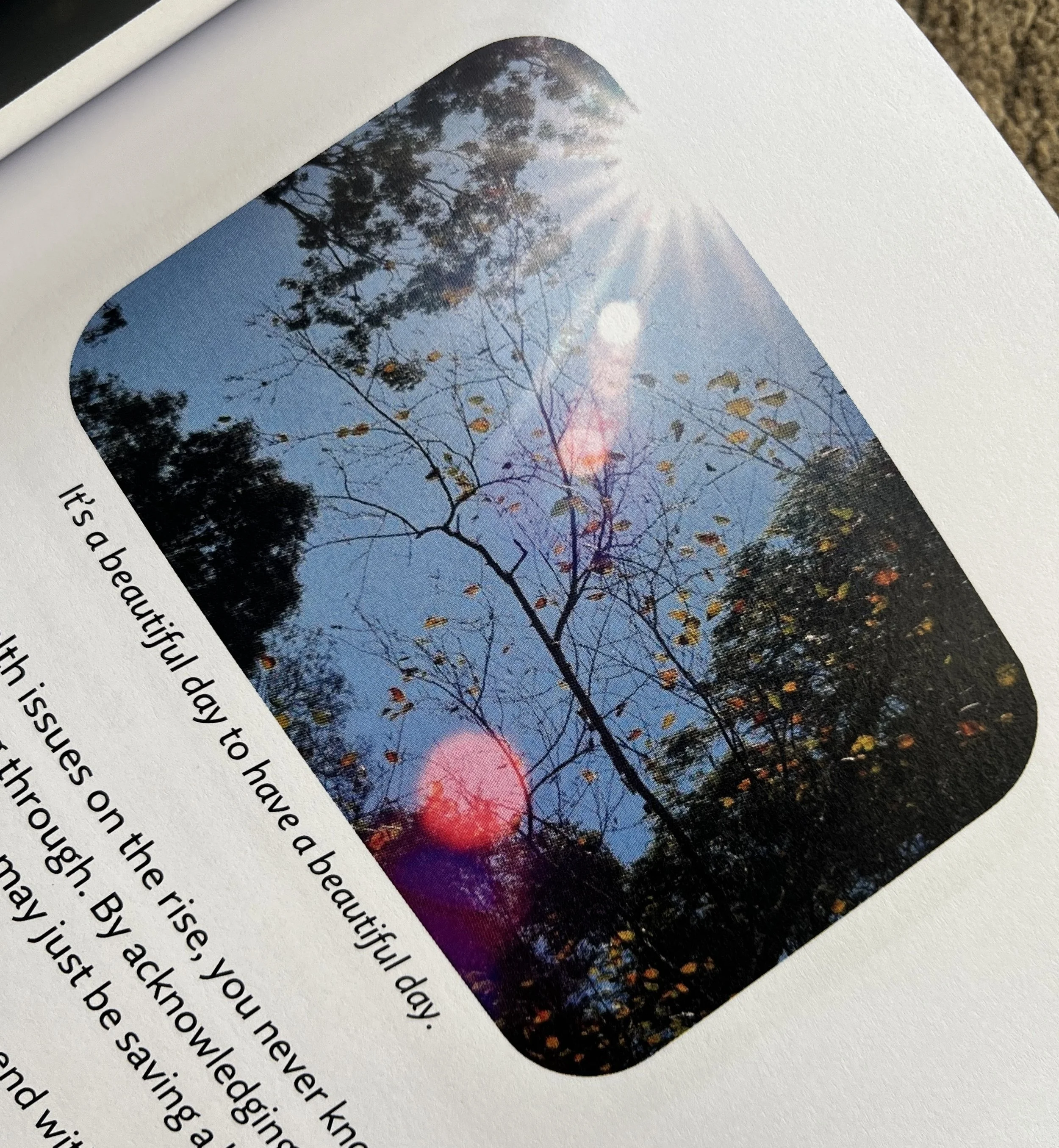 PHO-TOI AMAZON 1.jpeg