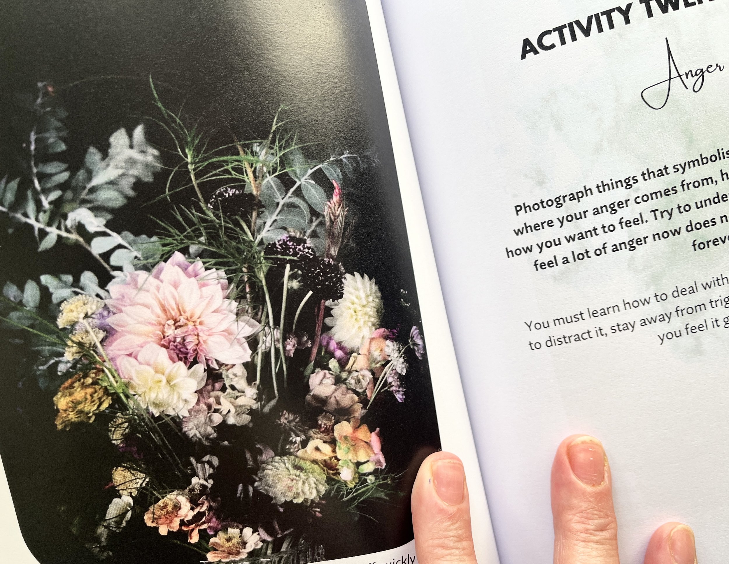 PHO-TOI AMAZON 2.jpeg