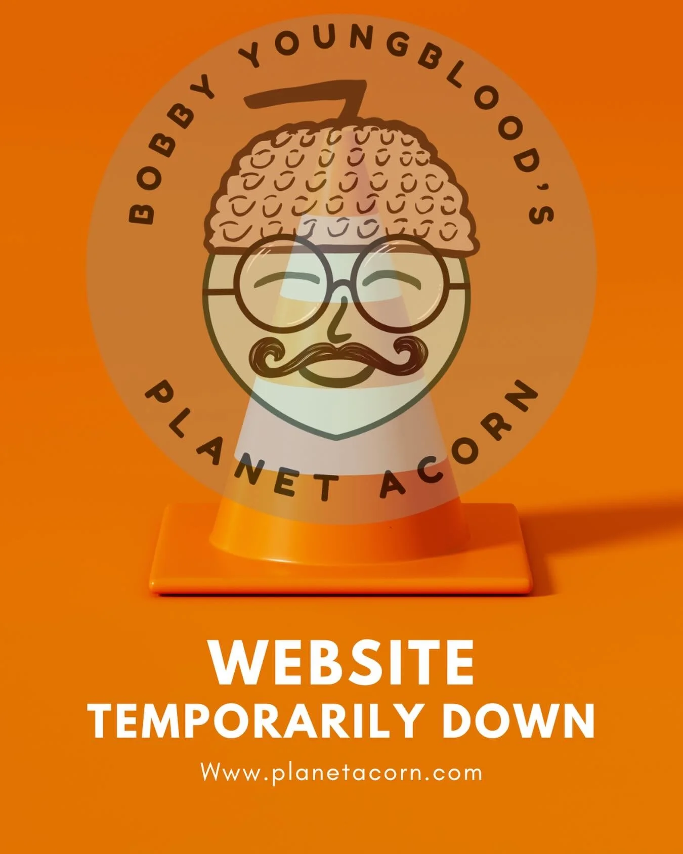 While the incredible @thecranedesignco is actively switching my website from GODADDY to Squarespace, Planet Acorn is temporarily unreachable via website. I&rsquo;m so excited to launch the new cleaned up site that is so much more user-friendly and wi