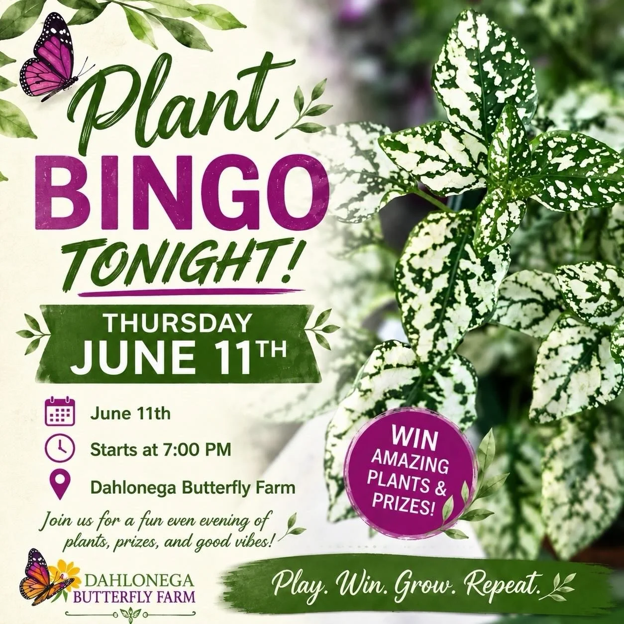 I&rsquo;ll be hosting Plant Bingo tonight at the Dahlonega Butterfly Farm!
It&rsquo;s such a cute and fun event and they&rsquo;ve got food and wine available!
come hang with friends, enjoy the summer atmosphere of the butterfly farm, and win some pla