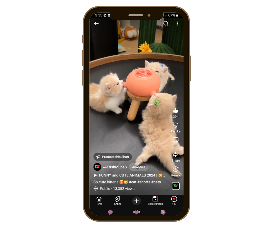 A viral YouTube shorts of kittens created and posted by Patricia Sibayan, a freelance video editor.