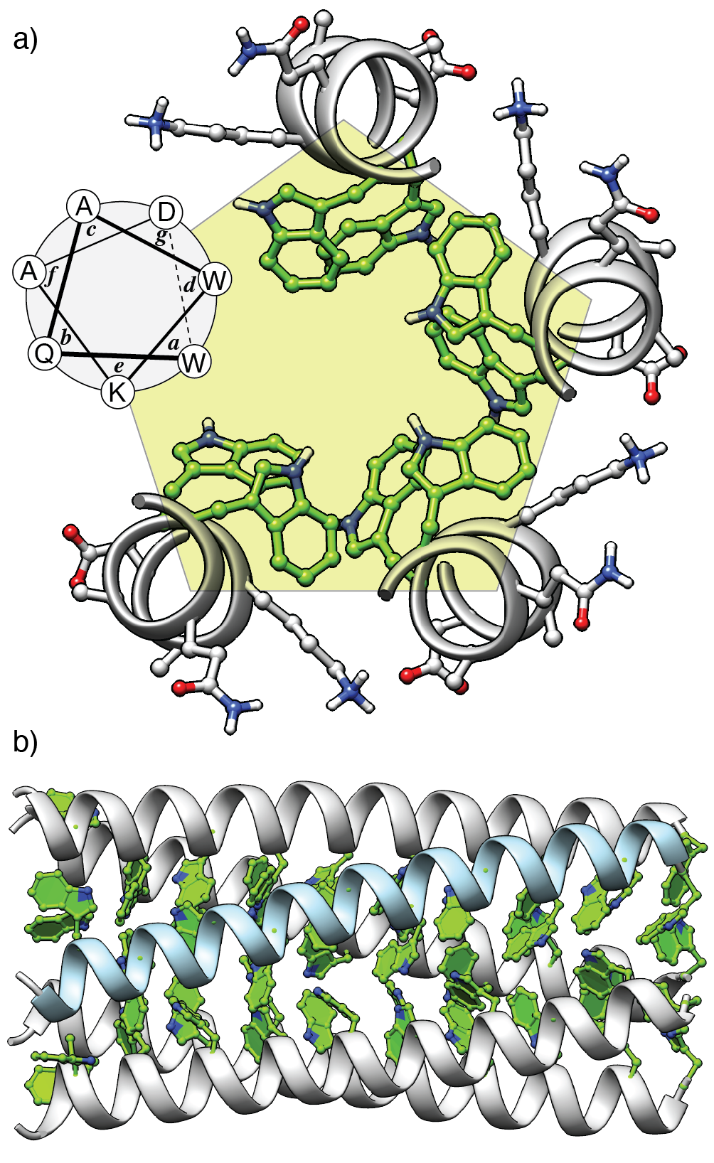A detailed scientific illustration of molecular structures, including a spherical diagram of a chemical compound on the left side, and a double helix DNA structure with green and blue molecules attached at the bottom.