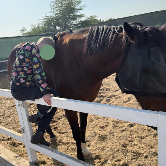 Educational Services in Dubai Tutoring in Dubai British Curriculum Tuition in Dubai Homeschool Support in Dubai Educational Summer Camps in Dubai Primary School Tutoring UAE Private Teachers Dubai CAT4 Preparation Dubai