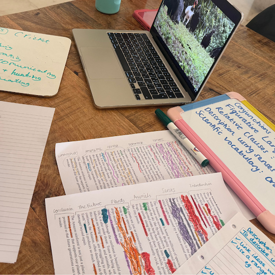 Educational Services in Dubai Tutoring in Dubai British Curriculum Tuition in Dubai Homeschool Support in Dubai Educational Summer Camps in Dubai Primary School Tutoring UAE Private Teachers Dubai CAT4 Preparation Dubai