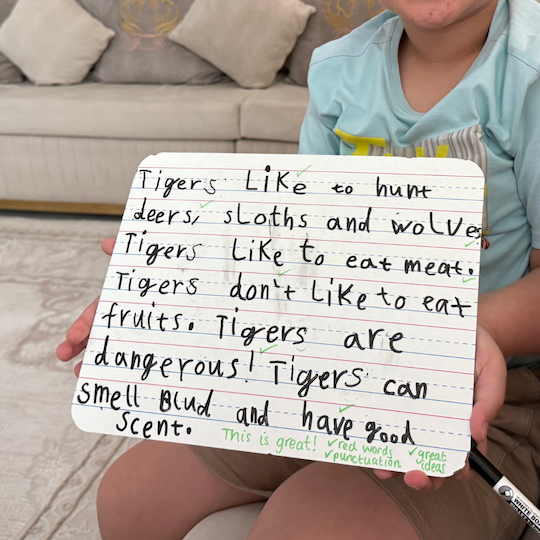 Educational Services in Dubai Tutoring in Dubai British Curriculum Tuition in Dubai Homeschool Support in Dubai Educational Summer Camps in Dubai Primary School Tutoring UAE Private Teachers Dubai CAT4 Preparation Dubai