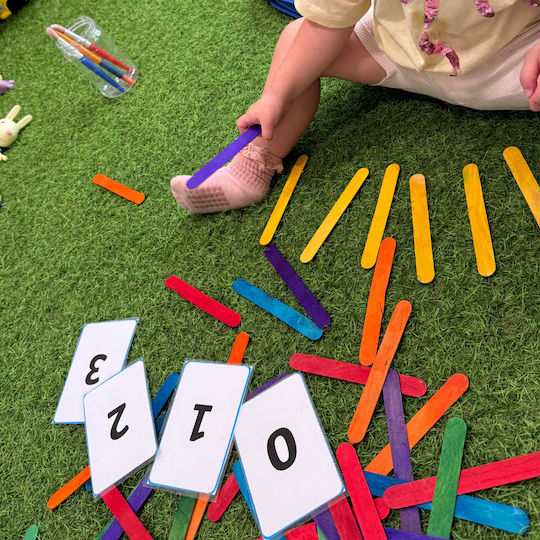 Educational Services in Dubai Tutoring in Dubai British Curriculum Tuition in Dubai Homeschool Support in Dubai Educational Summer Camps in Dubai Primary School Tutoring UAE Private Teachers Dubai CAT4 Preparation Dubai