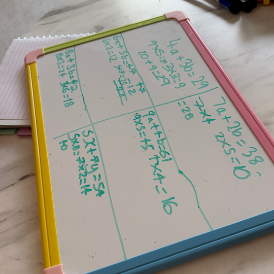 Educational Services in Dubai Tutoring in Dubai British Curriculum Tuition in Dubai Homeschool Support in Dubai Educational Summer Camps in Dubai Primary School Tutoring UAE Private Teachers Dubai CAT4 Preparation Dubai
