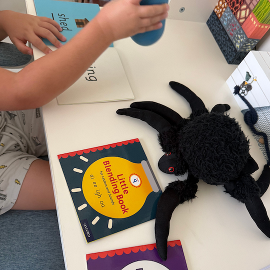 Educational Services in Dubai Tutoring in Dubai British Curriculum Tuition in Dubai Homeschool Support in Dubai Educational Summer Camps in Dubai Primary School Tutoring UAE Private Teachers Dubai CAT4 Preparation Dubai