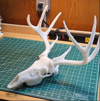 3D Printed Deer Skull