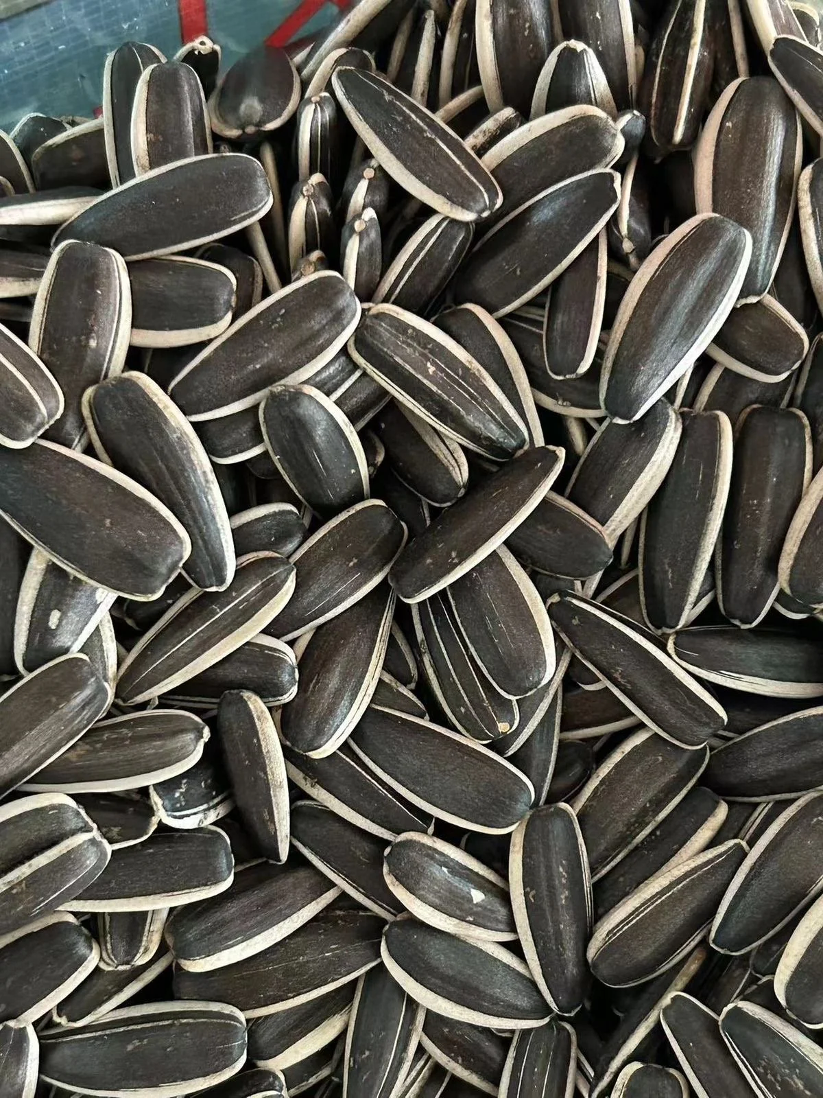 Our premium high quality sunflower seeds with black shells and white edges size 150-160 & 170-180.