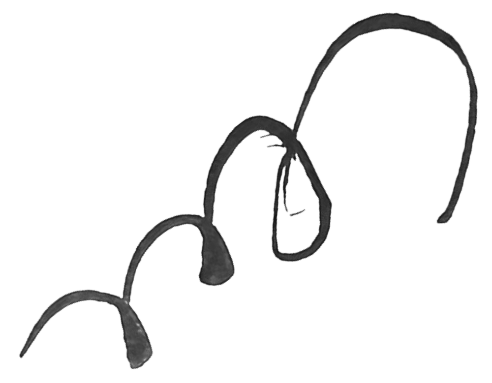 Black and white illustration of a line graph with three peaks and downward trends.