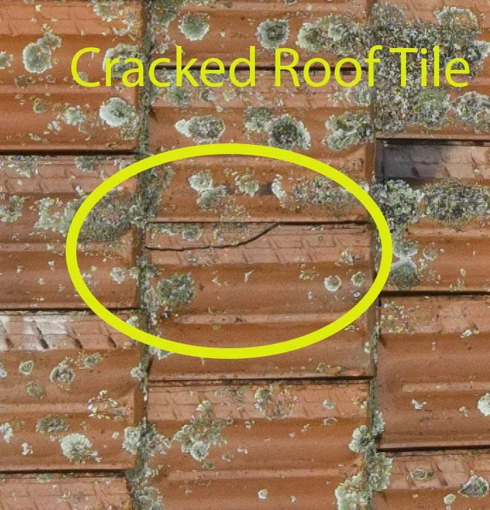 71_Lincoln_Tile_Crack_A.jpg