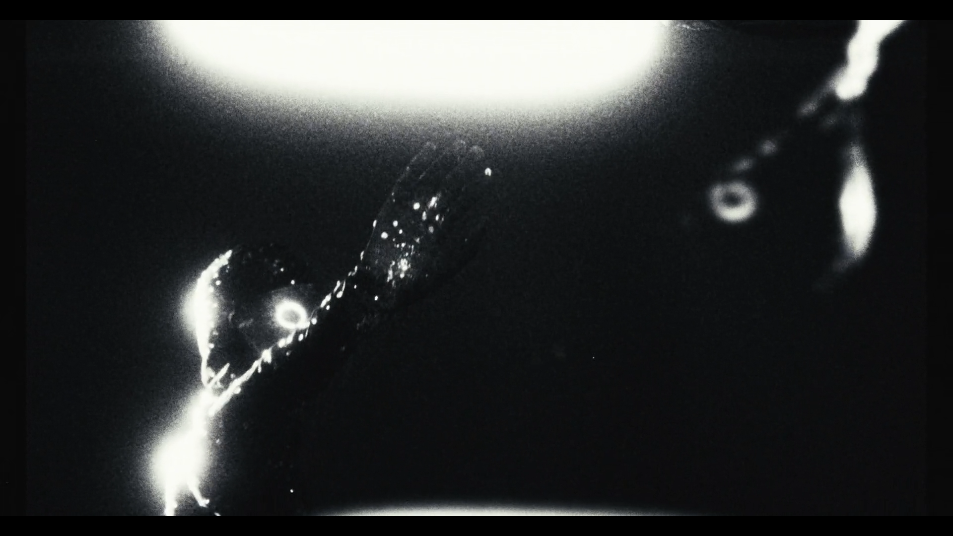 Timeline 1_01_01_01_17.png