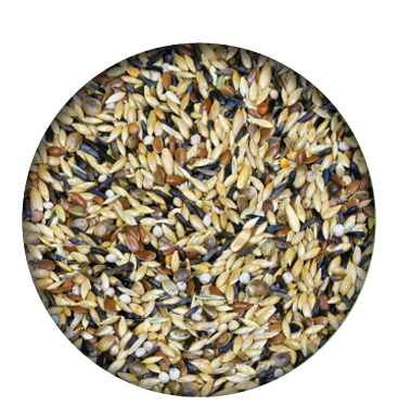 Screenshot 2026-04-14 090000.png