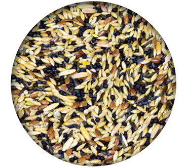 Screenshot 2026-04-14 090016.png