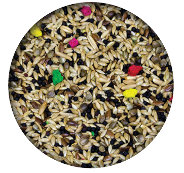 Screenshot 2026-04-14 090024.png