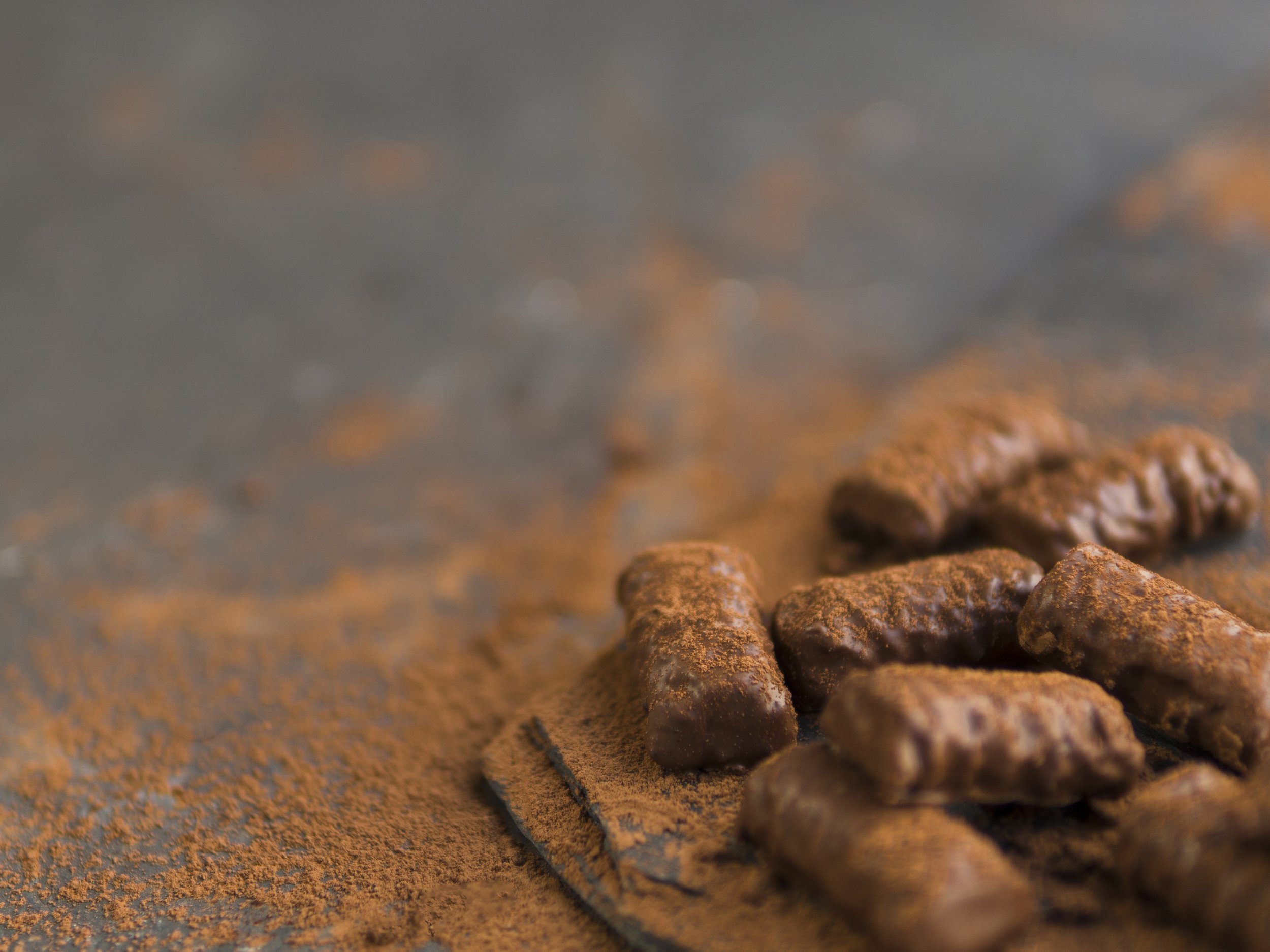 chocolate-bars-cocoa-powder (10).jpg