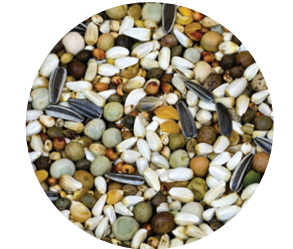 Screenshot 2026-04-14 090053.png