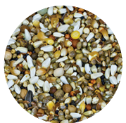 Screenshot 2026-04-14 092351.png