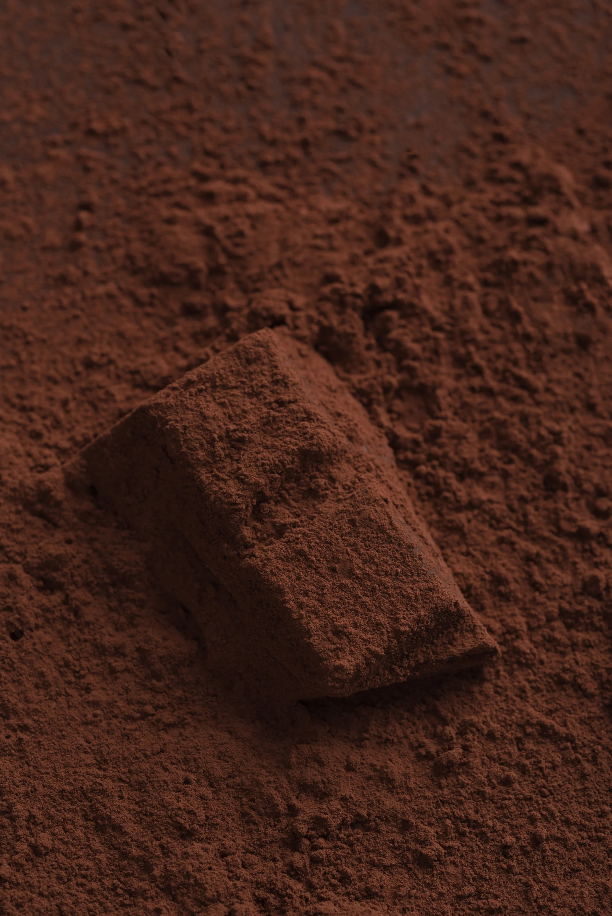 close-up-chocolate-candies-covered-with-dark-powder.jpg