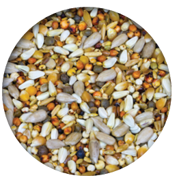 Screenshot 2026-04-14 090146.png