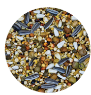 Screenshot 2026-04-14 092357.png