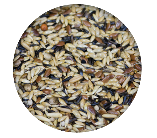 Screenshot 2026-04-14 092447.png