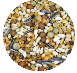 Screenshot 2026-04-14 090133.png