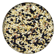 Screenshot 2026-04-14 092406.png