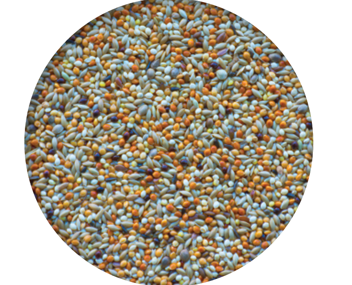 Covey Special Feed Mixes: 58, 67, 84 Blends