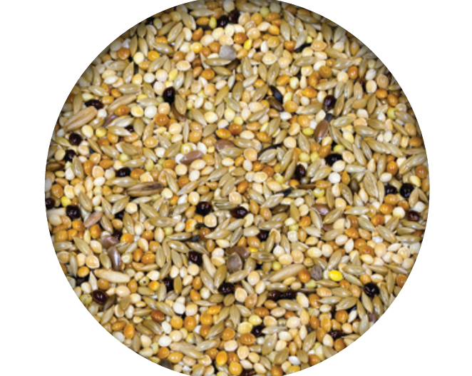 Screenshot 2026-04-14 092439.png