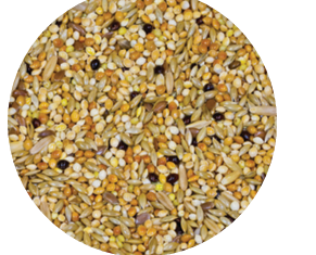 Screenshot 2026-04-14 090112.png