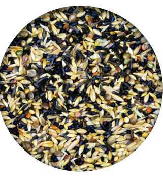 Screenshot 2026-04-14 090029.png